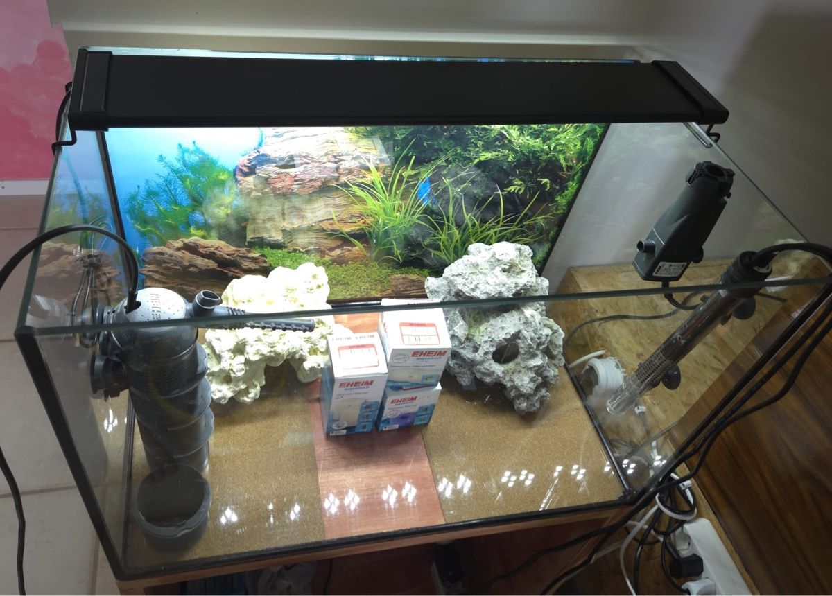 Acquari: Top Aquarium für Beginner – Usato da Bülach venduto da Against_Child_Abuse 1