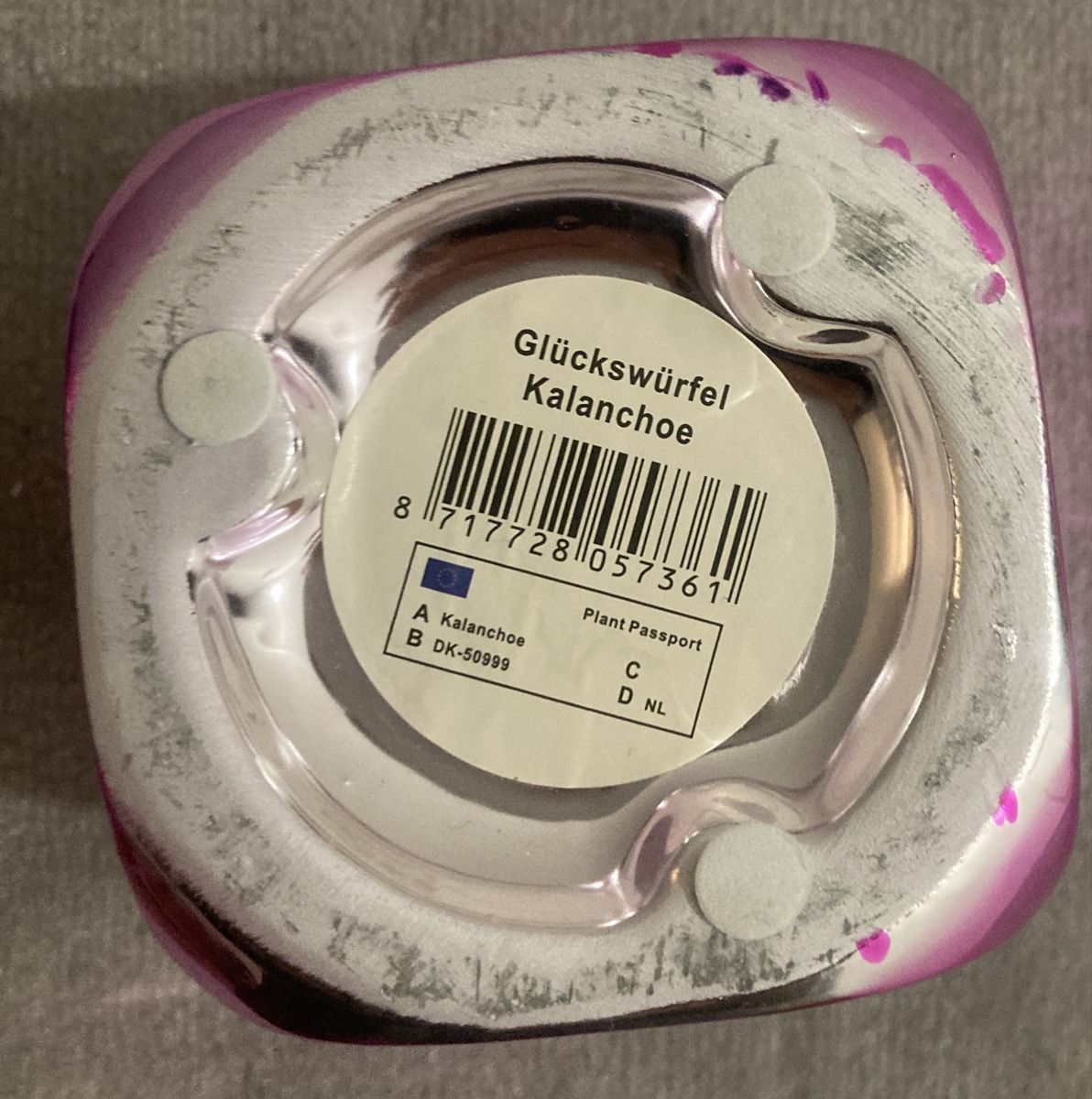 Tutte le decorazioni: Glückswürfel als Pflanzentöpfchen – Usato da Riehen venduto da Albi2010 2