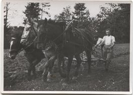 LANDWIRTSCHAFT 1940 Kanton St. Gallen Pflügen mit Pferd