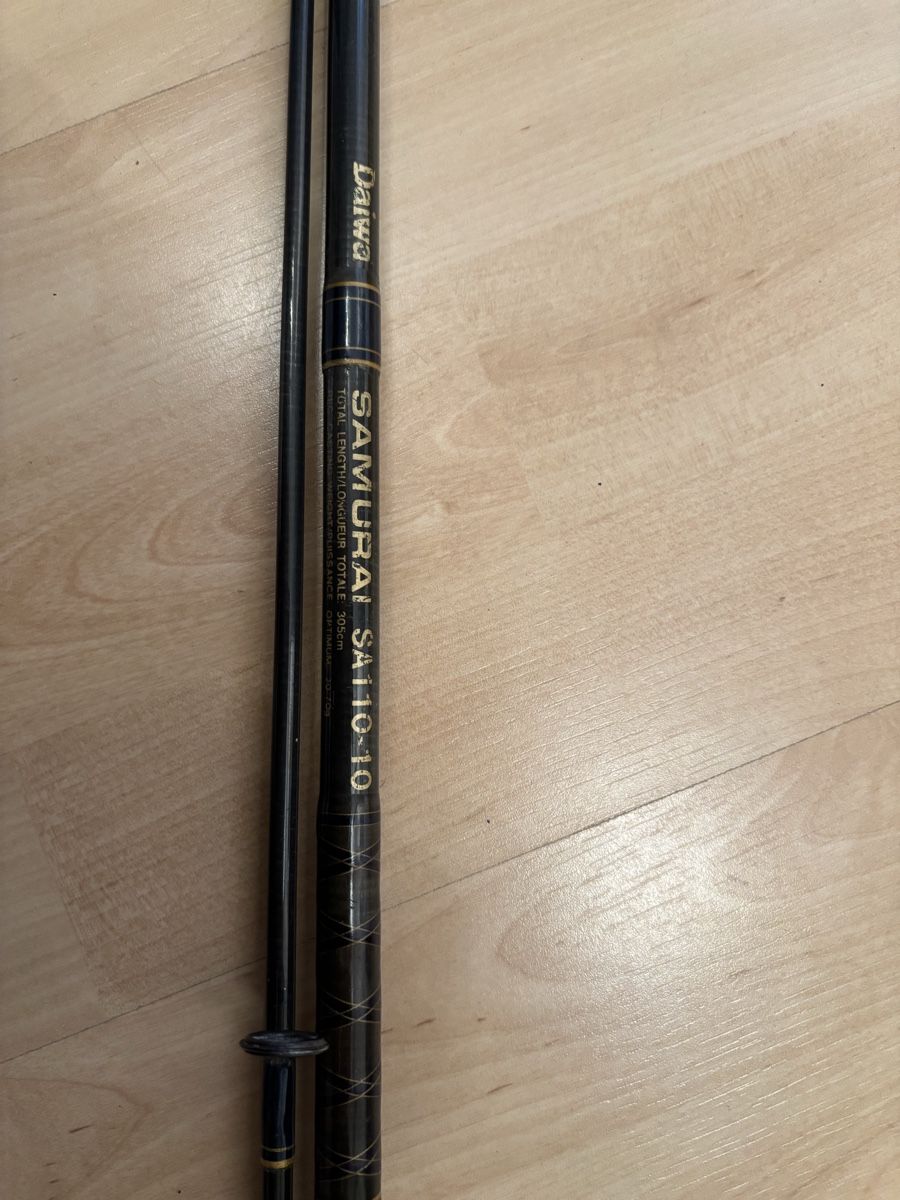 Daiwa Angelruten: Angelrute mit Rolle  – Gebraucht aus Alosen von Tischhuser 1