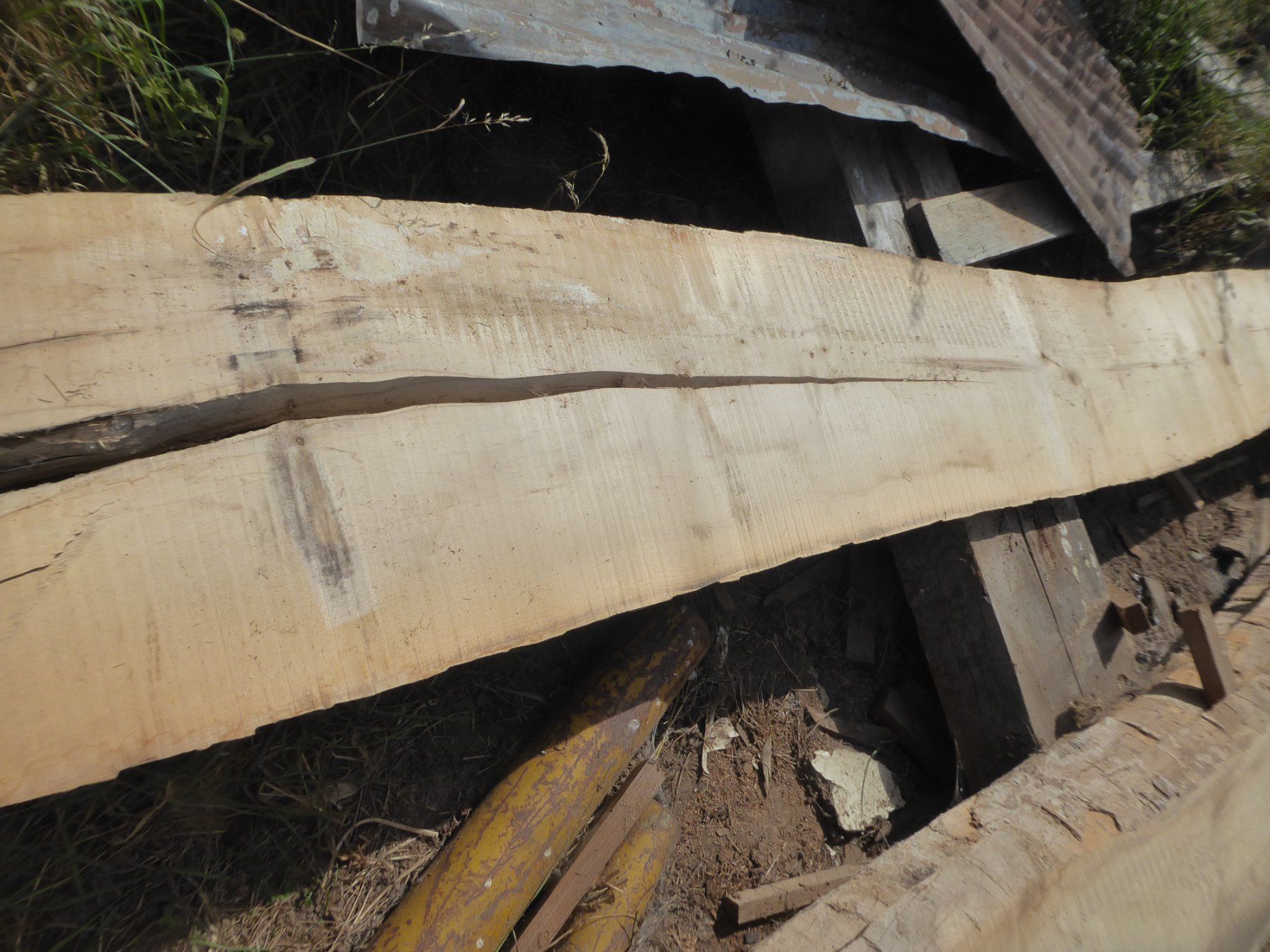 Articoli in legno: Eschenbrett 6 cm – Nuovo (secondo la descrizione) da Sumiswald venduto da Hennri1 1