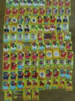 WM Panini 313 Stück, keine Doppelten