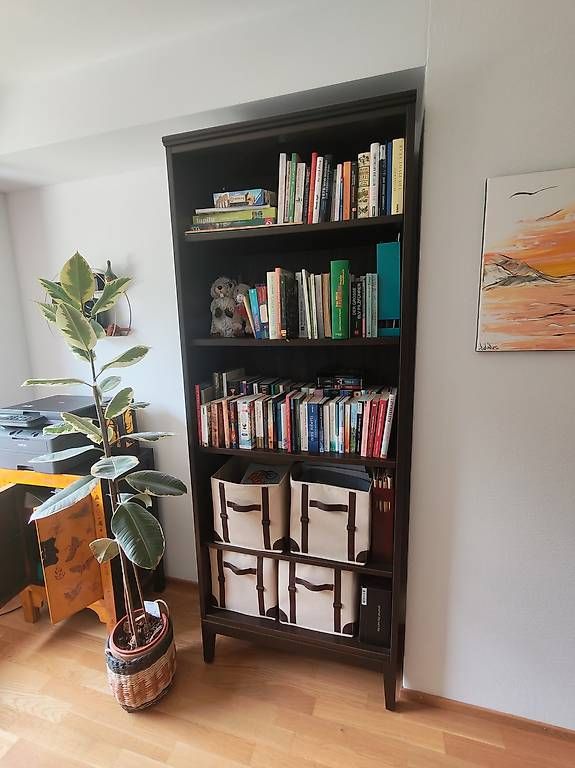 Ikea Scaffali: Bücherregal Dunkelbraun – Usato da Chur venduto da tol_xvw8 2