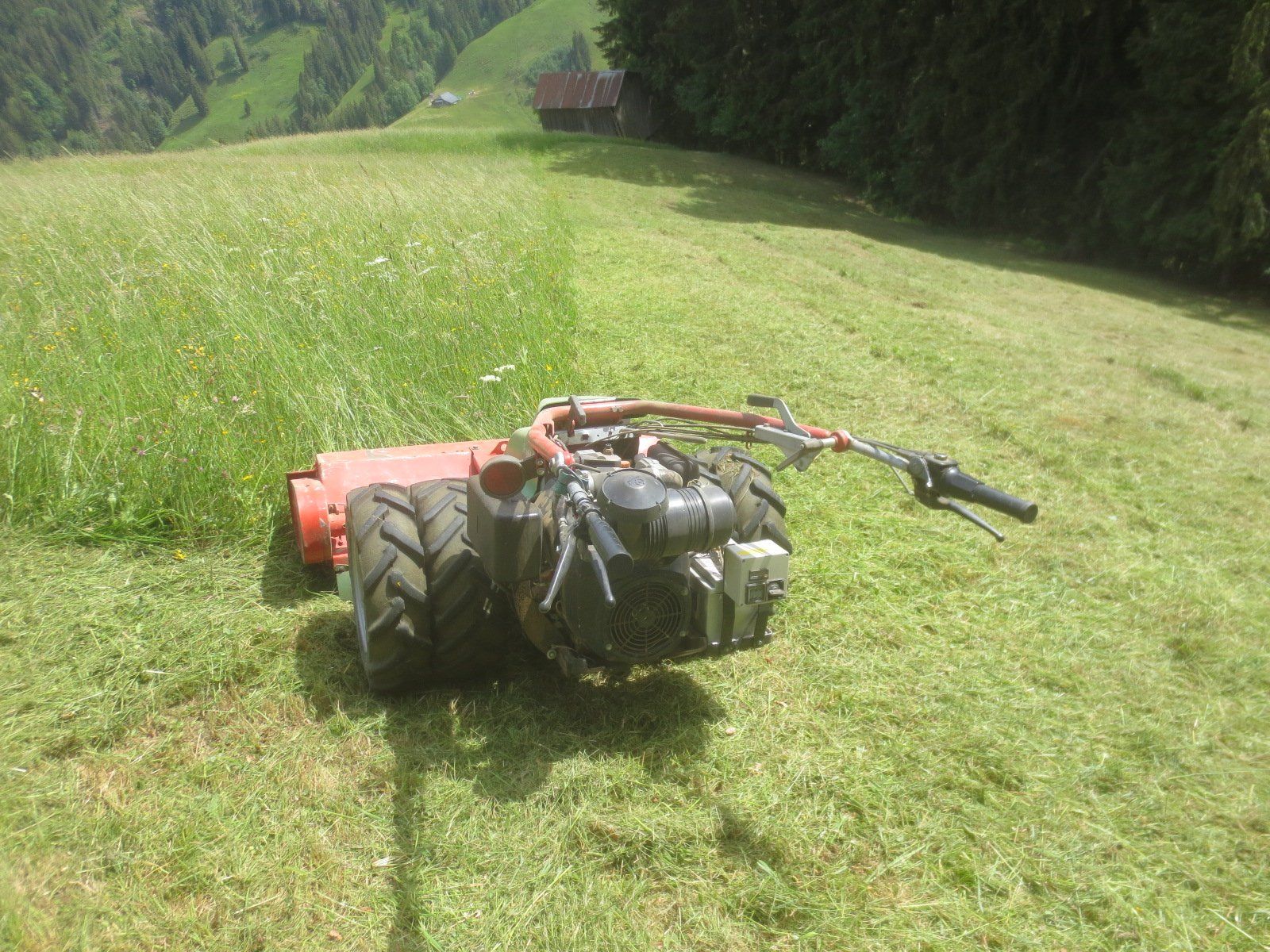 Rapid Alle Maschinen: Rapid  Euro 4 mit Mulcher – Gebraucht aus Guggisberg von Zorro120 2
