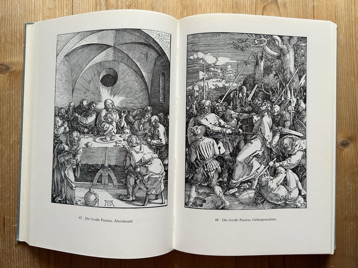 Libri: Theodor Hetzer - Die Bildkunst Dürers – Usato da Himmelried venduto da rasmus67 6