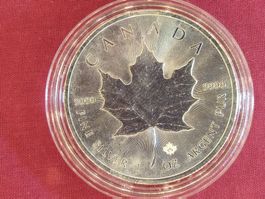 Silber Maple Leaf 1 oz - 2015