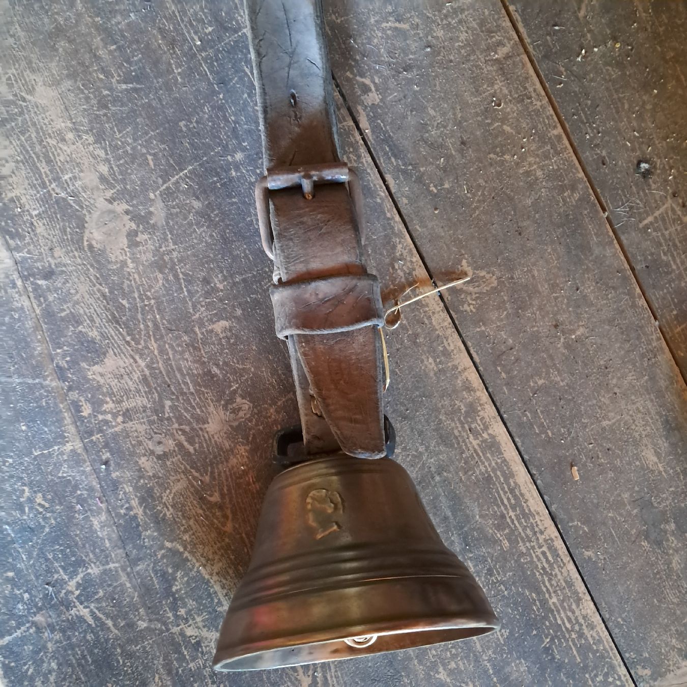 Glocken & Treicheln: ALTE GLOCKE  – Gebraucht aus Murten von SHETHOF