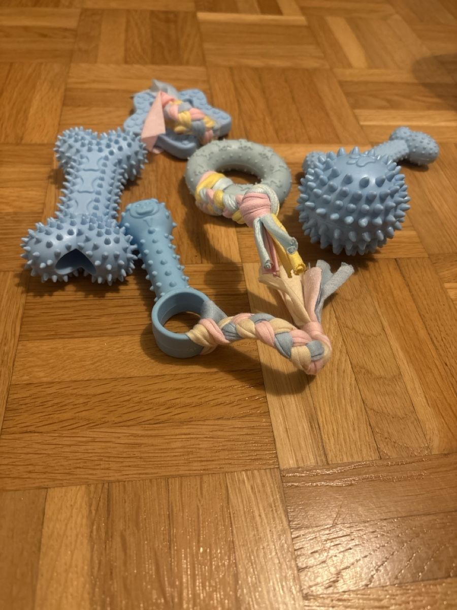 Spielzeuge: Hunde-/Welpenspielzeug Set, 6 Teile – Neu (gemäss Beschreibung) aus Zürich von Yasmincayo