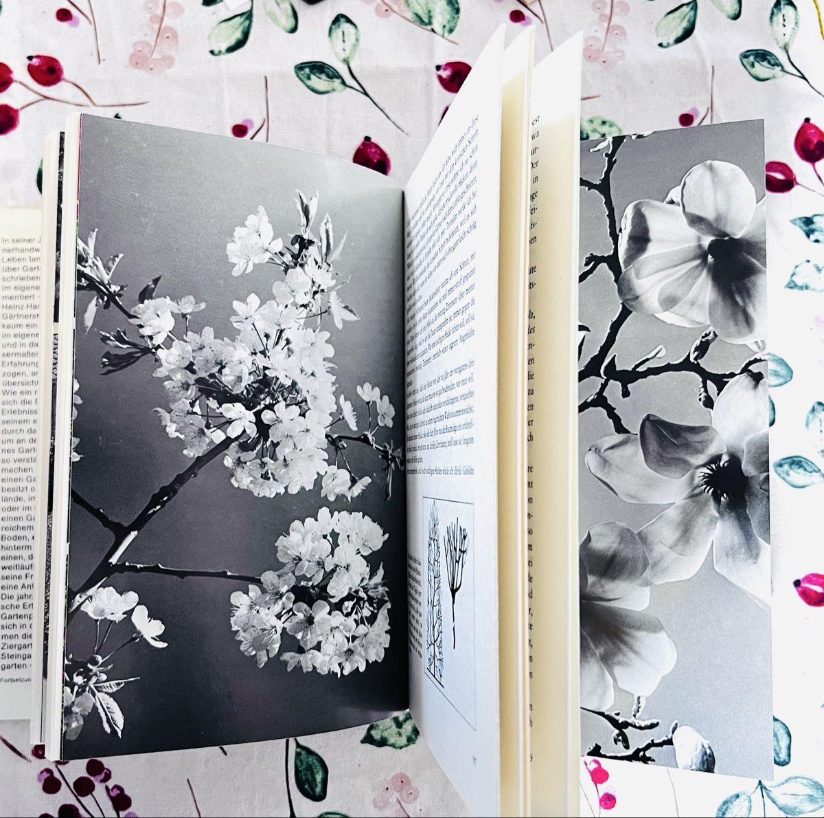 Libri: Knaurs Gartenbuch - Leben mit einem Garten von K.H. Hanisch – Nuovo (secondo la descrizione) da Winterthur venduto da Buchecke_54 3