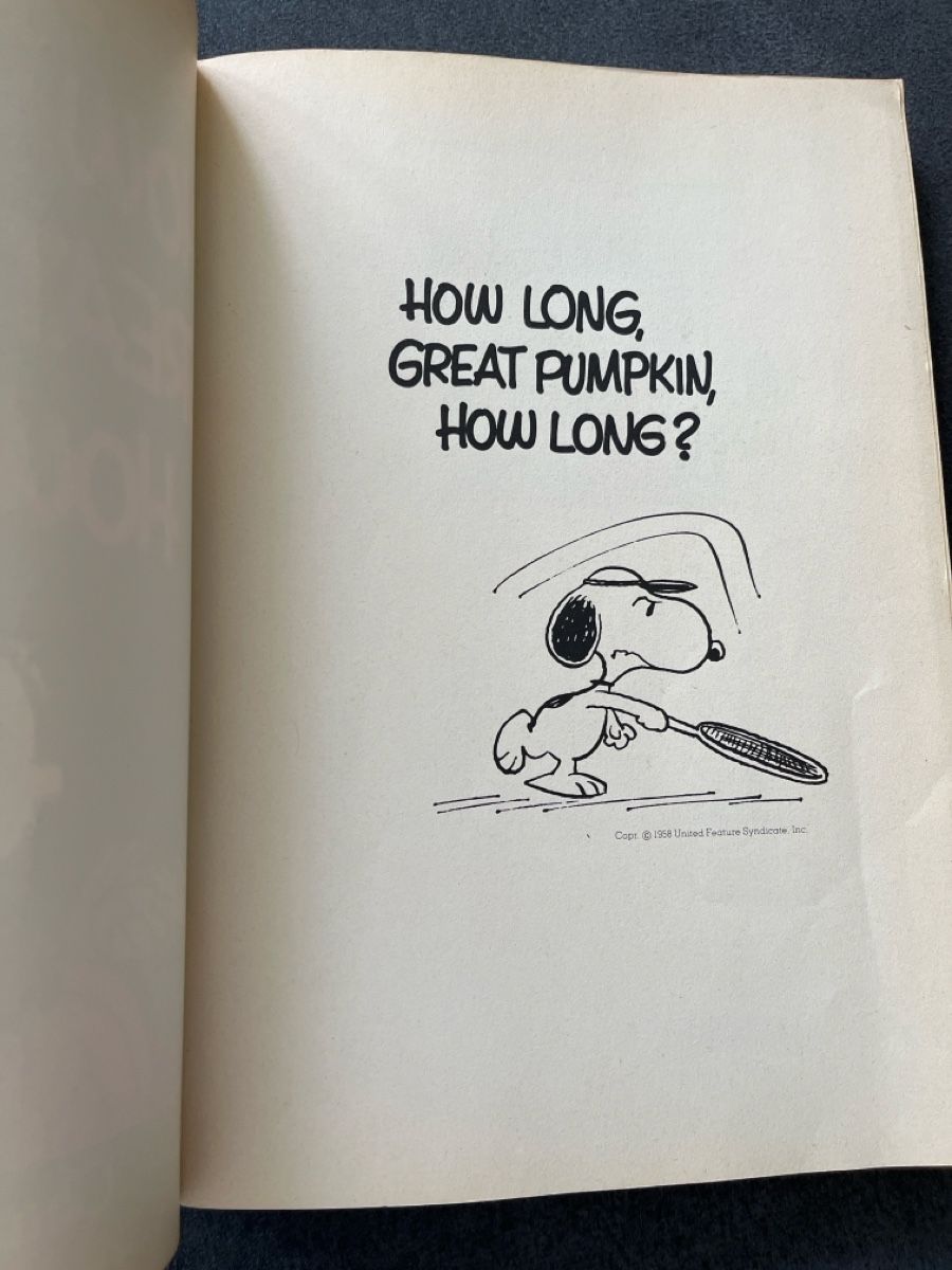 BD: Peanuts Comic Buch "How Long, Great Pumpkin, How Long" – D'occasion à Niederhasli par Suneblueme 1