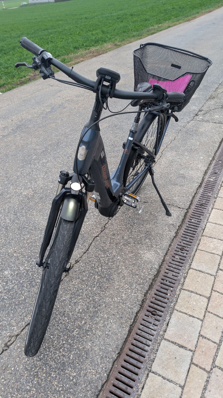 Diamant Biciclette: Diamant Zagora+ 25km/h Tiefeinstieg – Usato da Menziken venduto da ezadinho 2