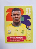 Panini Mbekezeli Mbokazi RSA 6