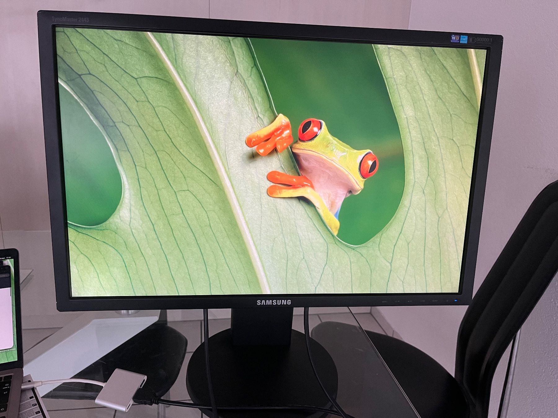 Ecrans: Moniteur 24'' Samsung SyncMaster 2443BW – D'occasion à Biel/Bienne par donzef