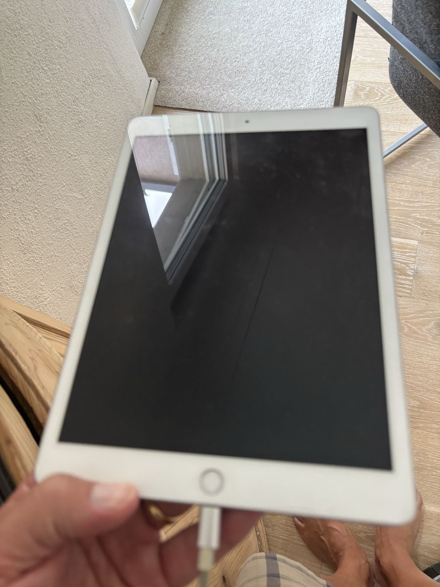 Apple Tablet PC: Ipad 8 – Usato da Schaffhausen venduto da juliazoe