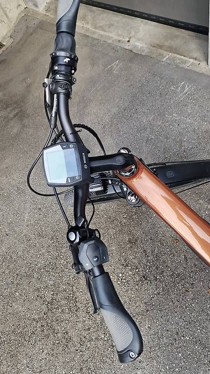 Biciclette: Trekking-Bike Riese&Müller  – Usato da Flims Dorf venduto da fab.sk81 2