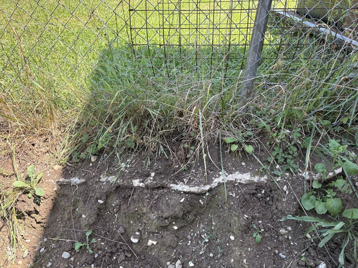 Recinzioni: Maschendrahtzaun; Diagonalgeflecht – Usato da Flaach venduto da tob_lz1f 5