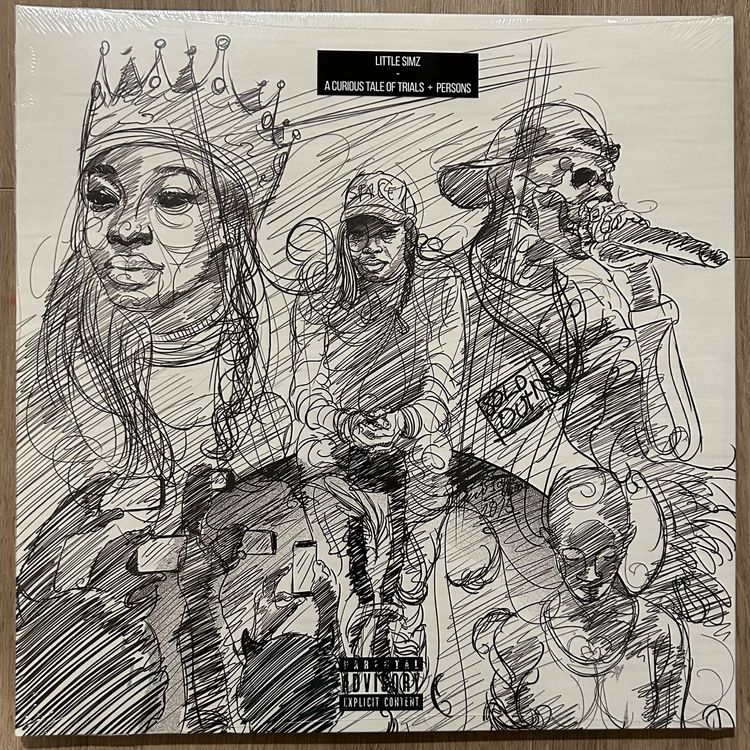 Little Simz A Curious Tale Of Trials & Persons Kaufen auf Ricardo