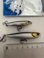 Top Water Wobbler 48mm und Popper 60mm für Barsch/Egli