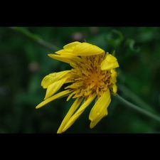 Profile image of tim_6jjn