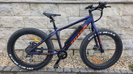 Totem E-Bike Fatbike Wild Boar nur 271 Kilometer TOP Zustand