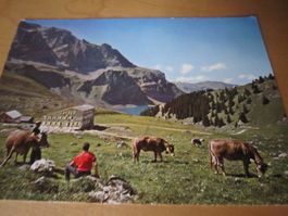 Schöne Postkarte BANNALP AB NUR 75 RP