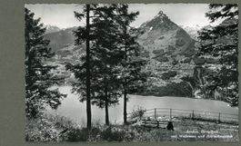 AK sw Amden SG Giregärtli, Walensee, Mürtschenstock ≈ 1939 