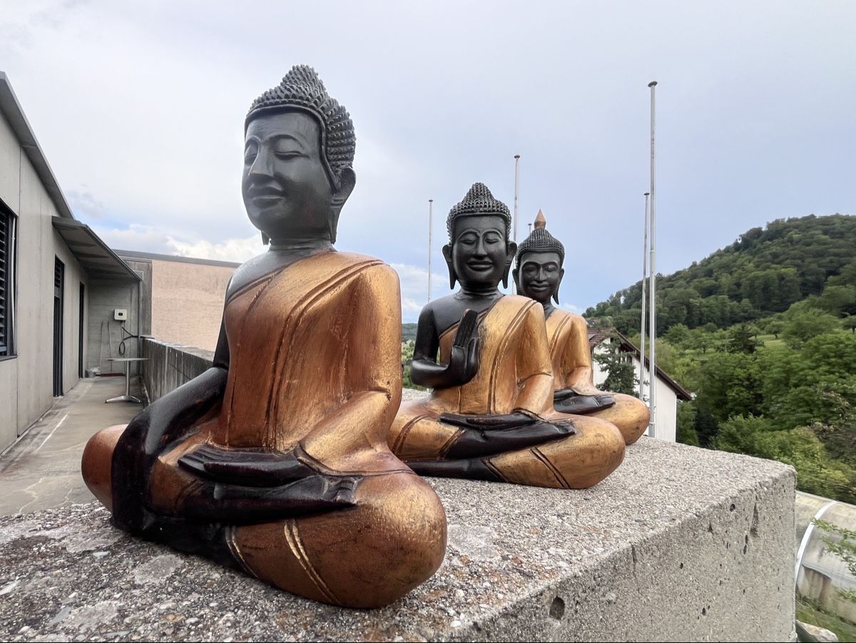 Sculture & Statue: 3 handgeschnitzte Holz-Buddhas aus Kambodscha – Nuovo (secondo la descrizione) da Büsserach venduto da Cabstardwarf3 2