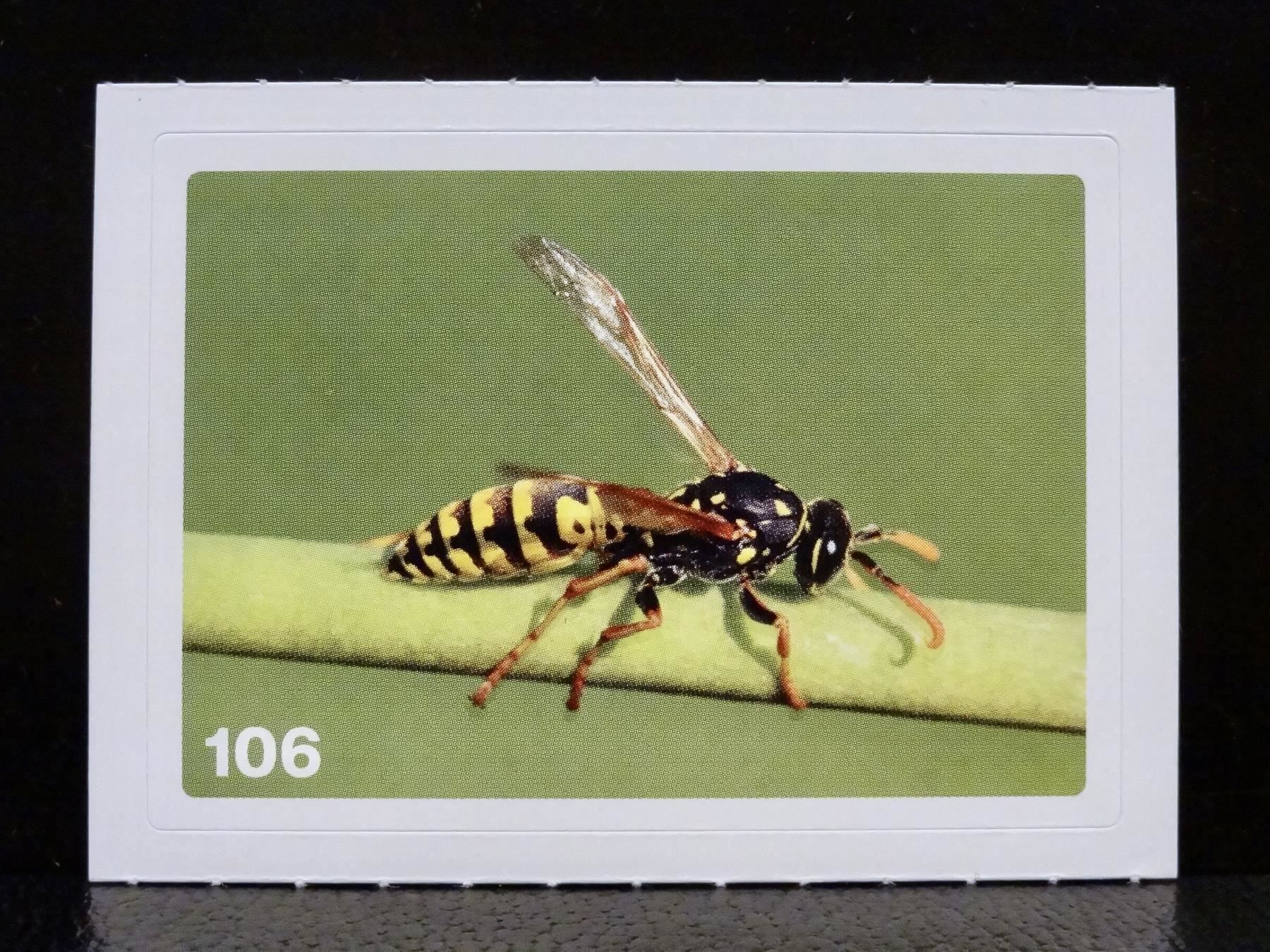 Migros Sammelbilder & Trading cards: MIGROS MANIA Nature Detectives Nr. 106 – Neu und originalverpackt aus Kerzers von zimmergruen