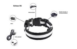 LED Hunde Leuchthalsband - Grösse XS  in Schwarz