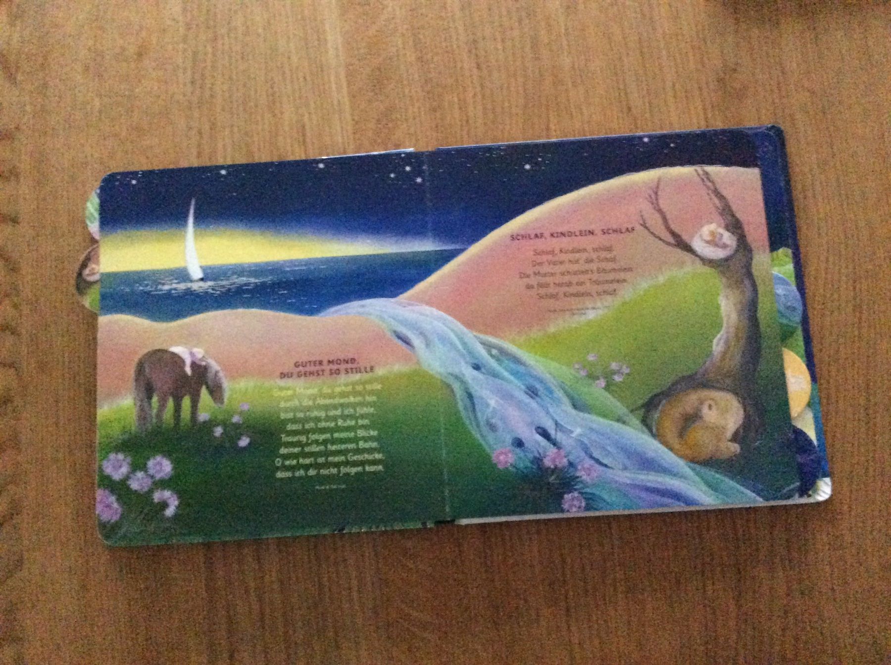 Libri: Meine liebsten Schlaflieder – Usato da Wetzikon ZH venduto da Laube02 3