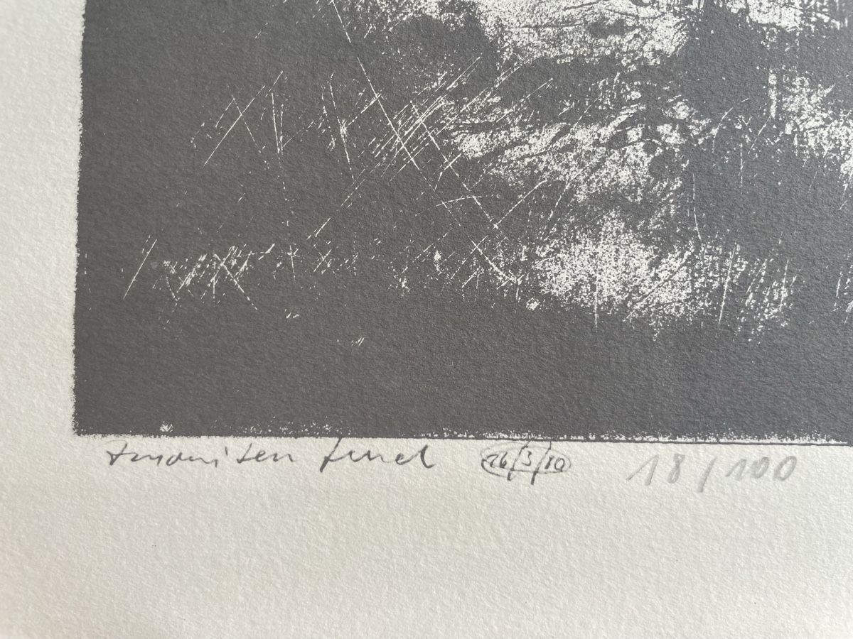 Arts picturaux & lithographies: Peter Caspary Probedruck Fenel? – D'occasion à Biel/Bienne par Galaq 1
