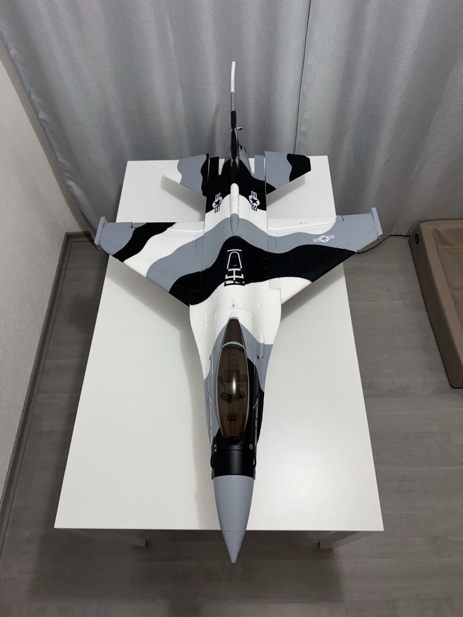 Modellismo RC: Freewing F16 70mm – Usato da Reichenburg venduto da 7827373 1
