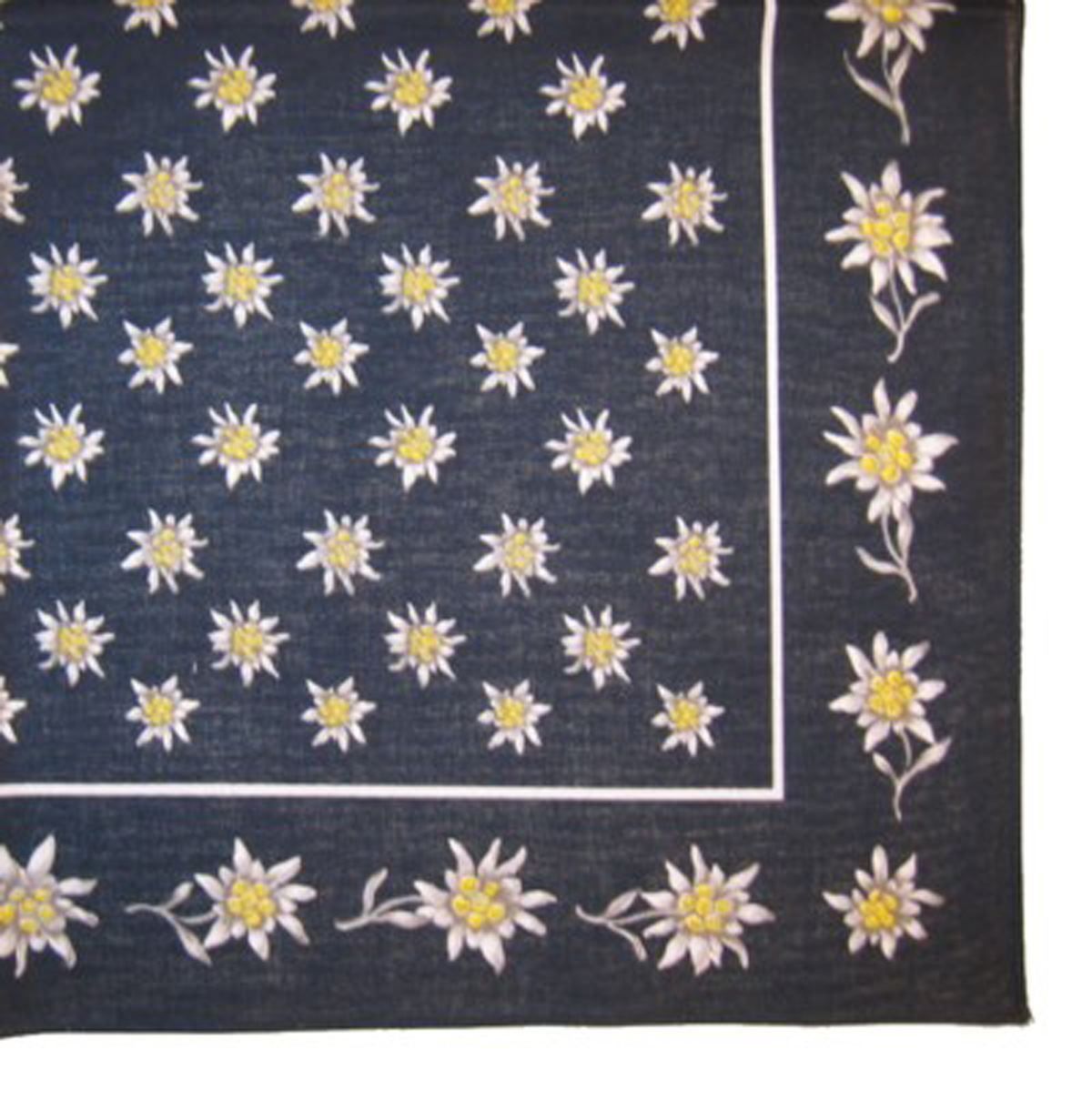 Altro in  Abbigliamento & Accessori: Nickituch, Bandana, Gesichtsschutz – Nuovo e nell'imballaggio originale da Appenzell venduto da Jenzler