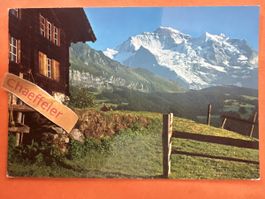 1977 36922 Bei Wengen Jungfrau 