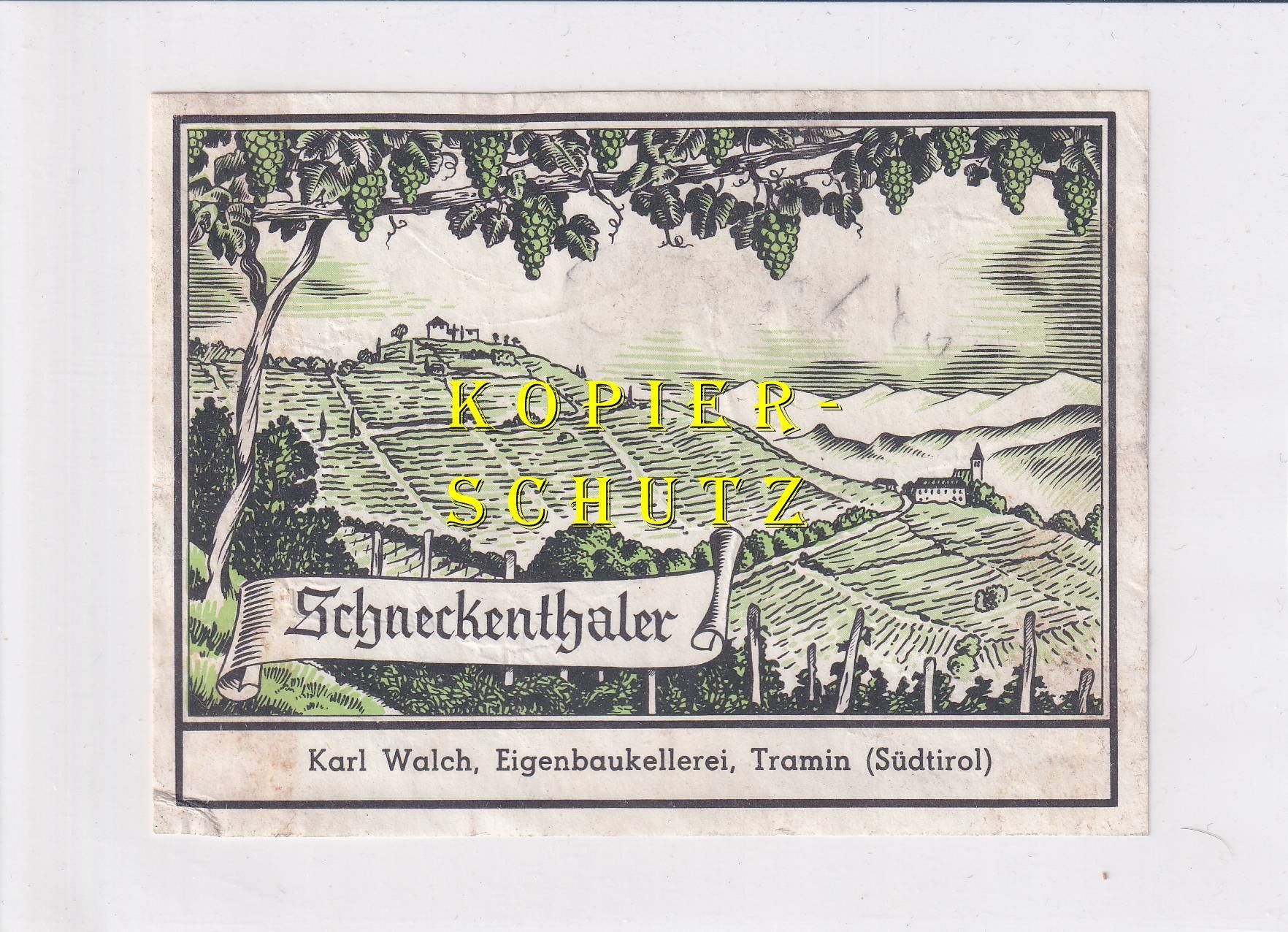 Papier: Etikette - Schneckenthaler /bd – D'occasion à Hombrechtikon par Rudolf07