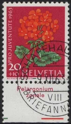 Tous les timbres: 20 Rp. Geranium mit TAB (Pelargonium zonale) – D'occasion à Eglisau par Chperfins