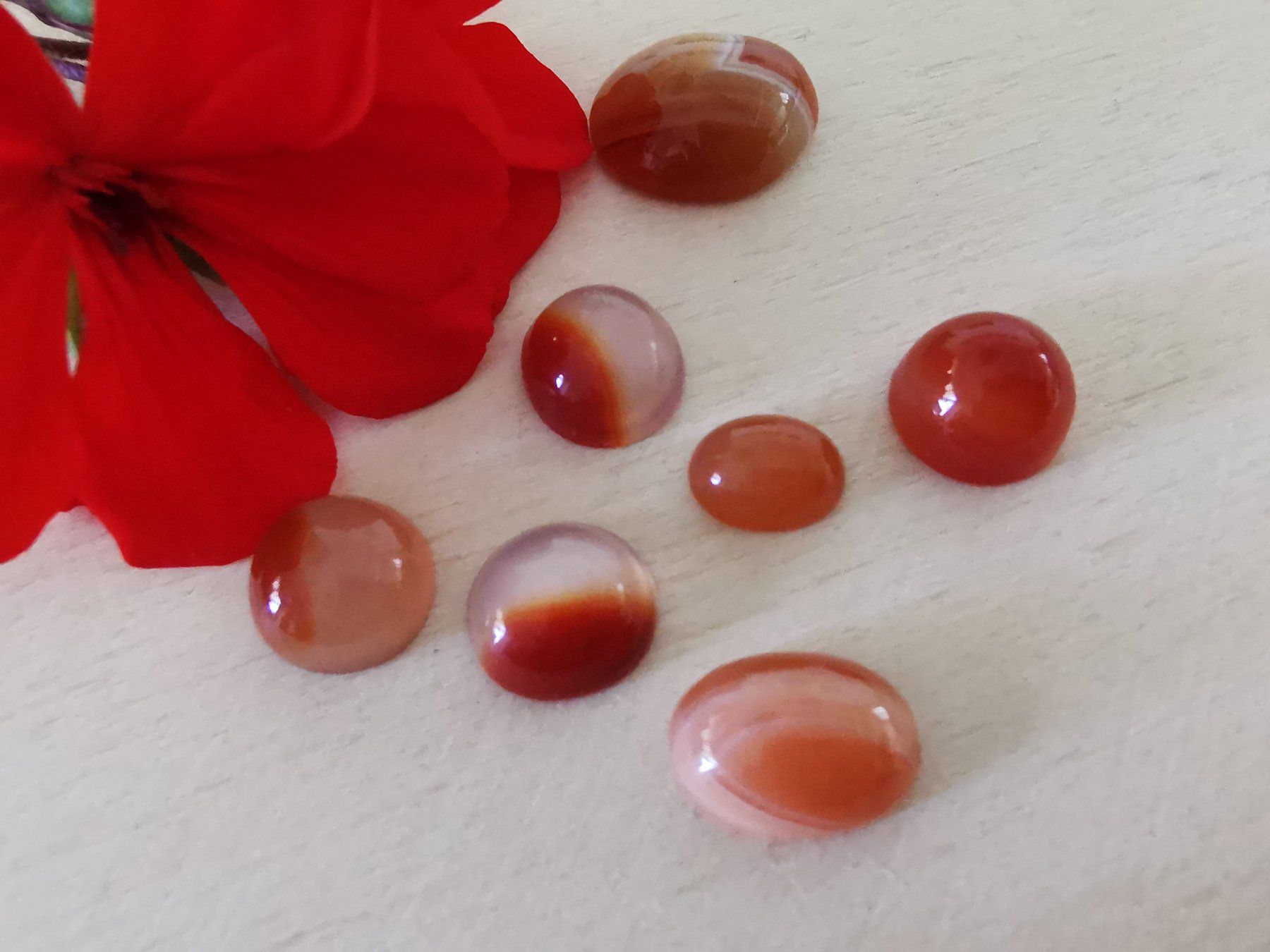 Mineralien & Heilsteine: 7 Stk. diverse Karneol Cabochon / Lager-Sondererkauf – Neu (gemäss Beschreibung) aus Dierikon von Buntspecht-10 5