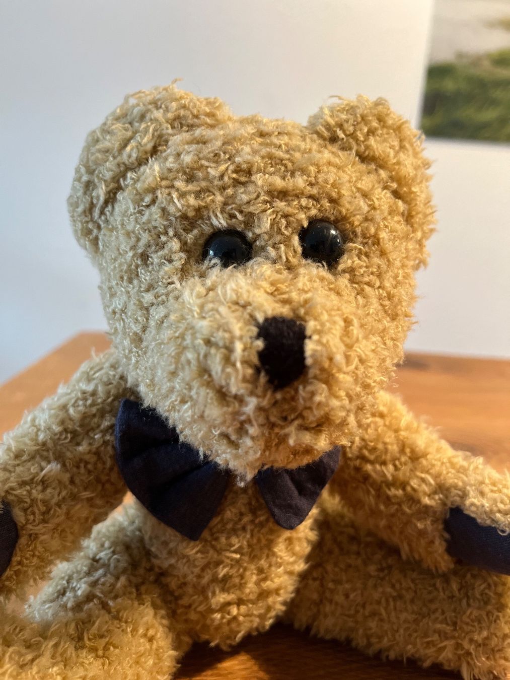 Giocattoli: herziger Teddybär – Usato da Wohlen AG venduto da momo_1973 2