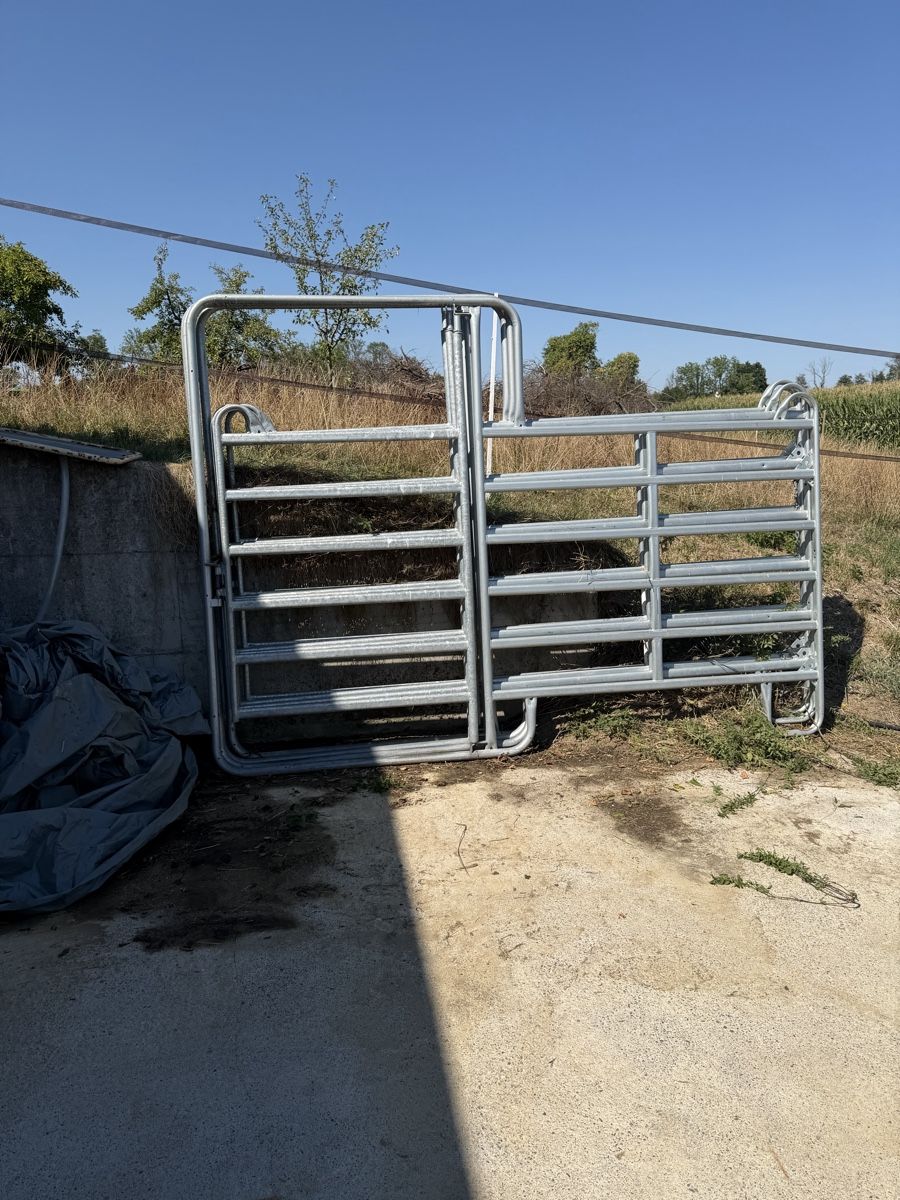 Altro: Corral Panel Schwer – Usato da Kümmertshausen venduto da Michi812 3