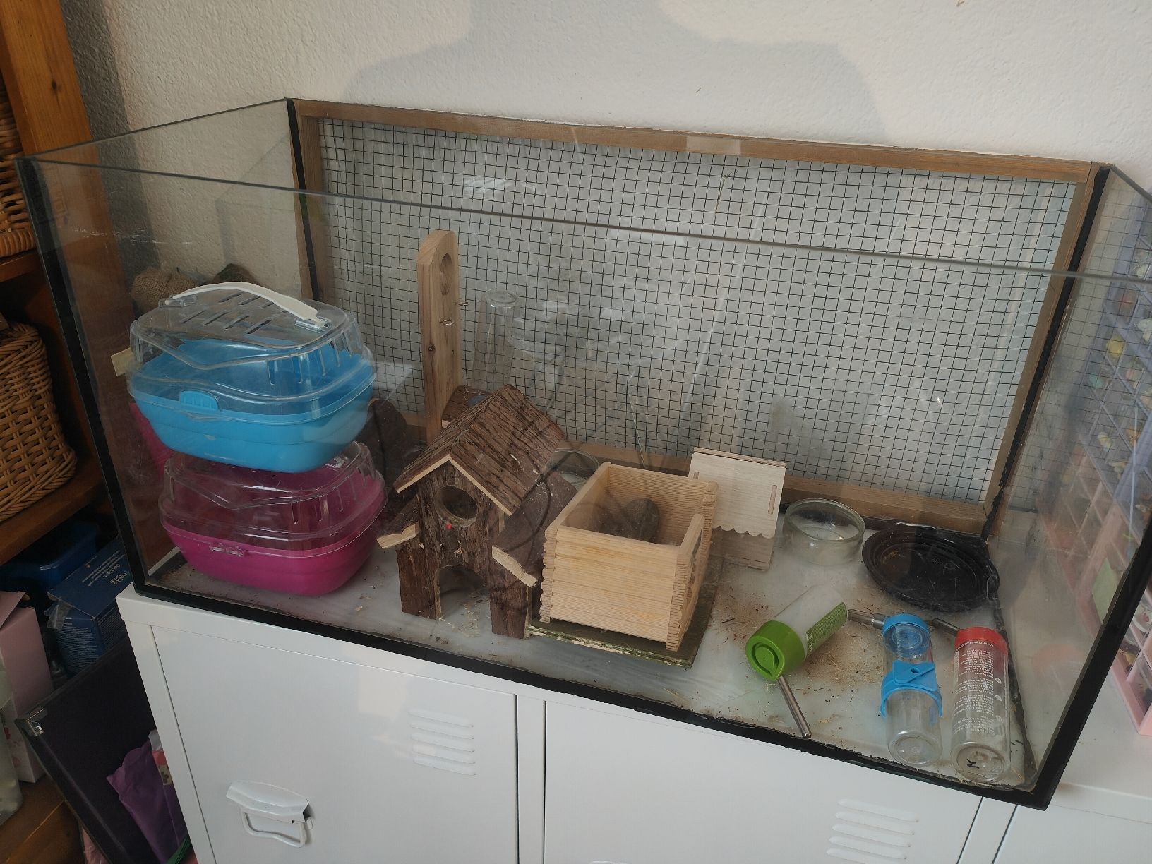 Terrariums: Nager Terrarium – D'occasion à Oberglatt ZH par c_ly
