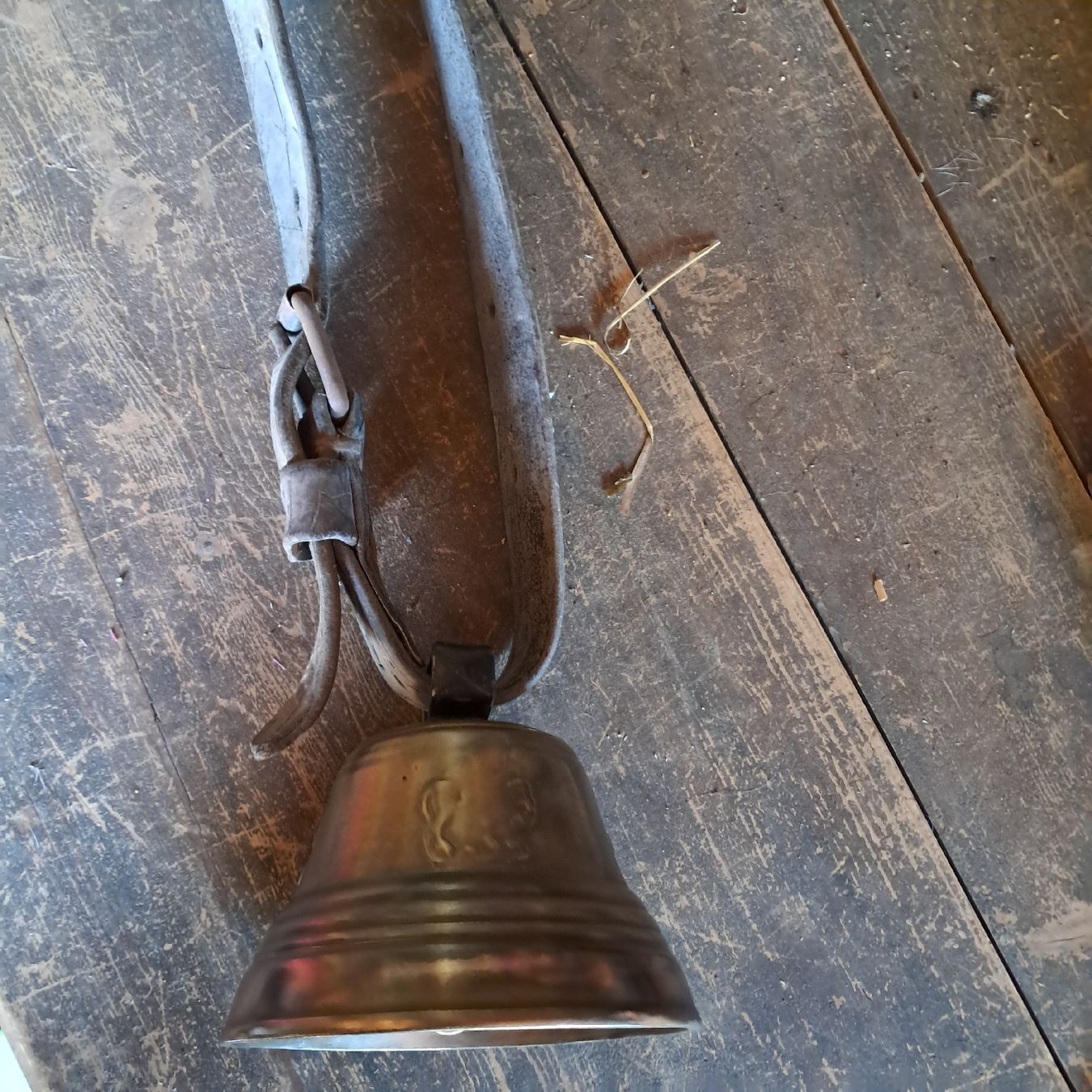 Glocken & Treicheln: ALTE GLOCKE  – Gebraucht aus Murten von SHETHOF 2