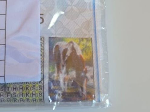 Bastelsets: DIAMOND PAINTING PFERD – Neu und originalverpackt aus Dintikon von bonita099 1