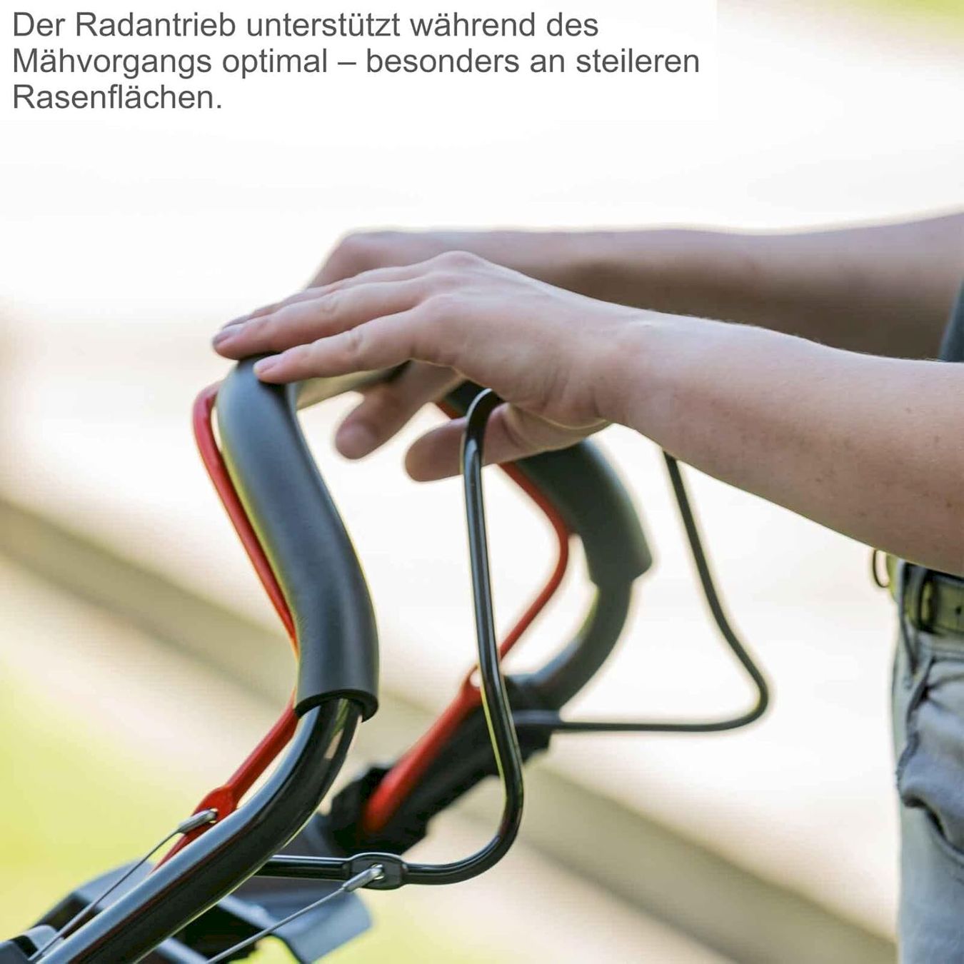 Scheppach Rasenmäher: Scheppach MS150-46E Benzin Rasenmäher – Neu und originalverpackt aus Bottighofen von zaap 3