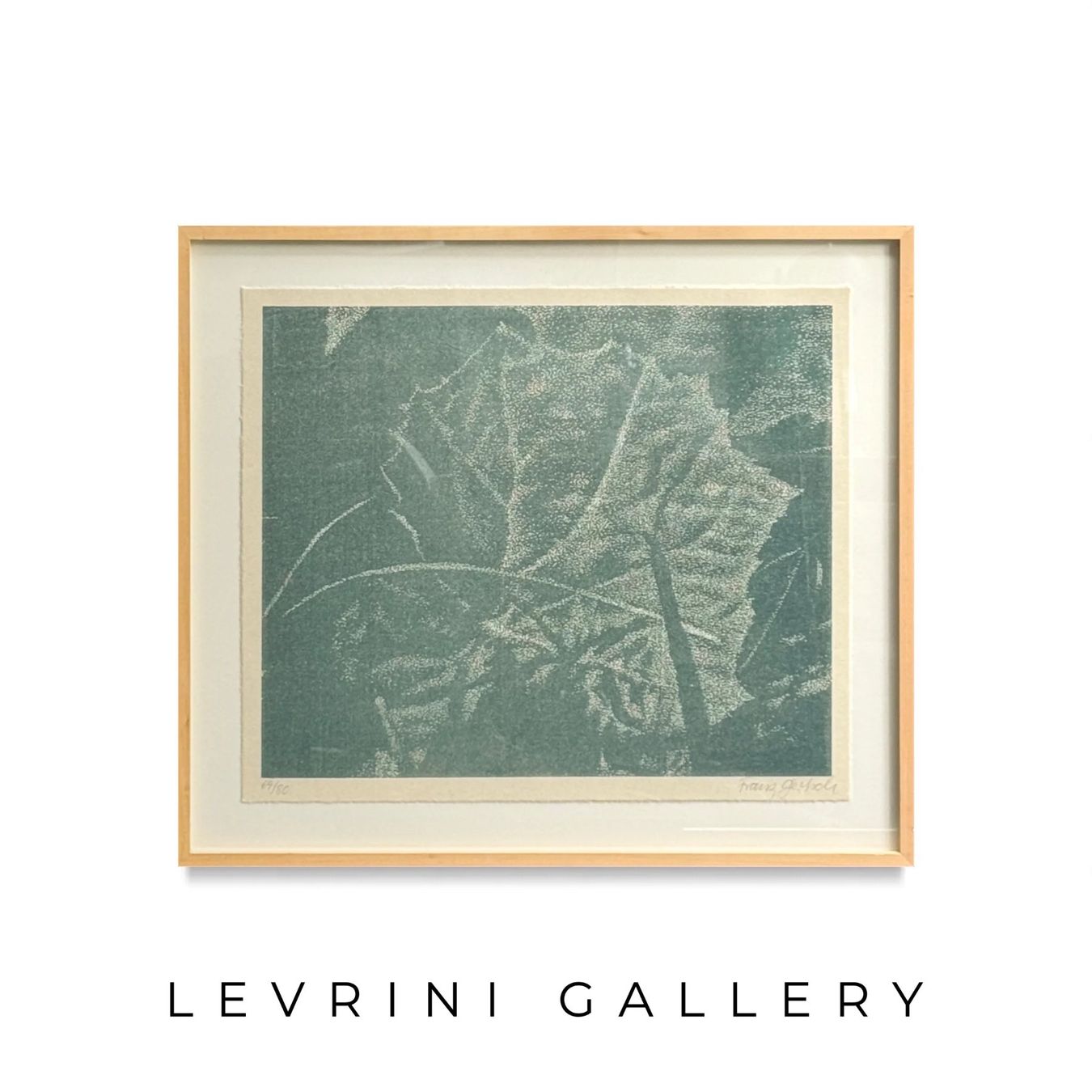Grafica & Litografie: Franz Gertsch - Levrini Gallery – Usato da Gockhausen venduto da LevriniGallery