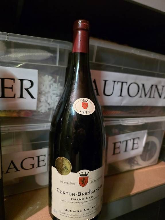 Vino: Corton-bressendes grand cru 1995 – Usato da Genève venduto da Luca.23