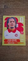 Panini FIFA WM 2026 TUN 14