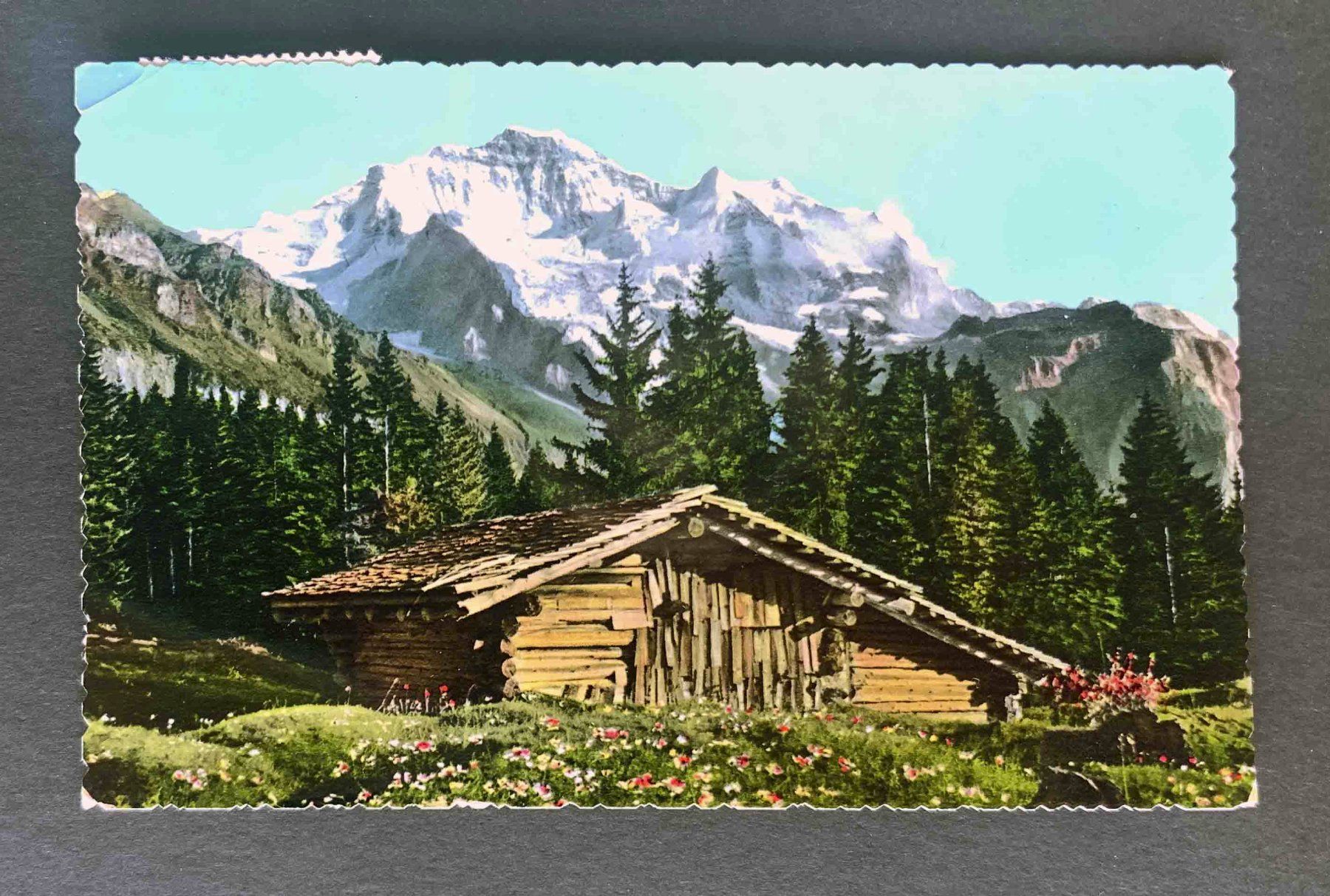 Ansichtskarten: AK Die Jungfrau – Gebraucht aus Goldau von artelier1