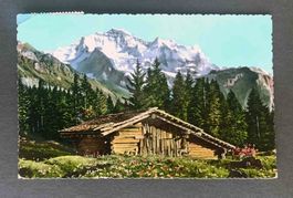 AK Die Jungfrau
