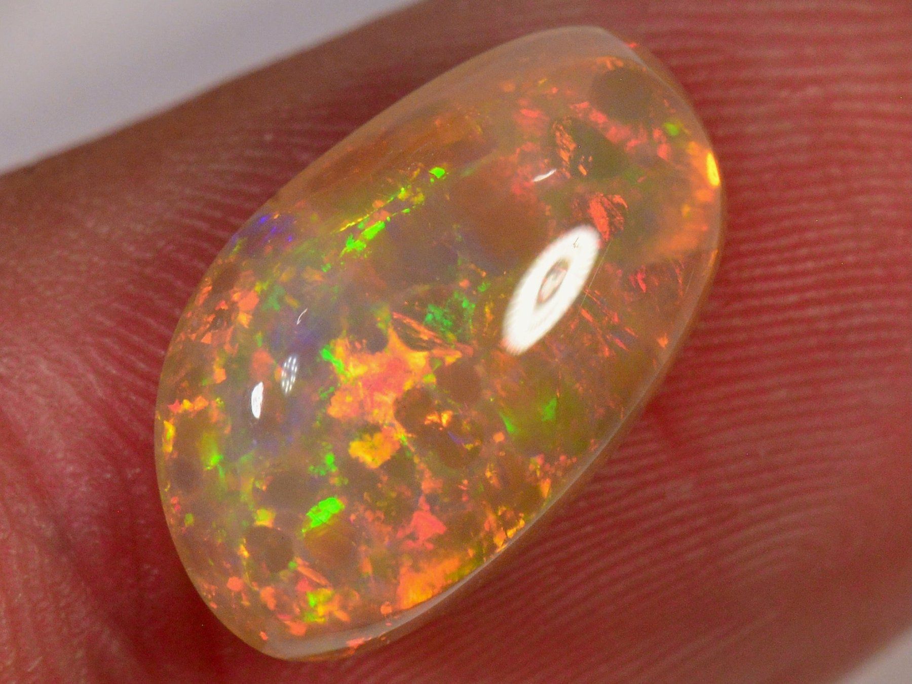 Edelsteine: 3.8 Karat - Leuchtender Äthiopischer Welo Opal – Neu (gemäss Beschreibung) aus Rüti ZH von DeinOpal 1