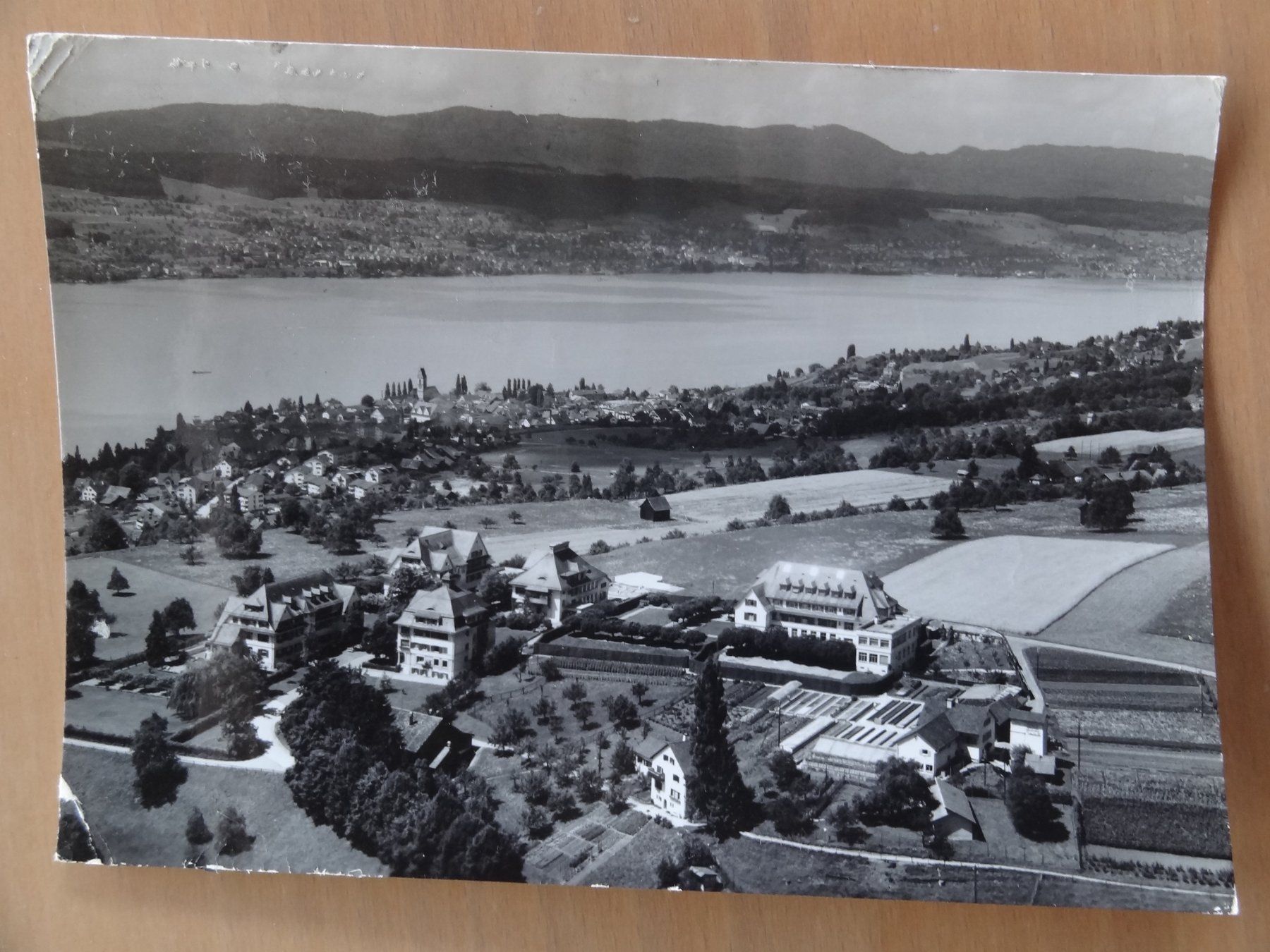 Cartoline postali: Meilen - Hohenegg - ZH – Usato da St Léonard venduto da Riglin